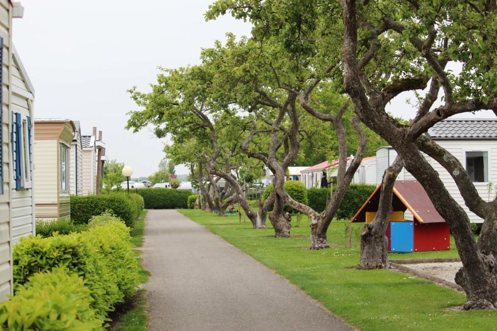 Siblu Camping In De Bongerd Oostkapelle Exterior photo